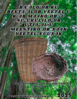 Xaak wa Xúuxak - Bladimir Tut Palomo