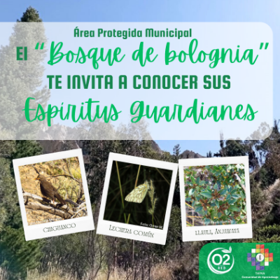 Espíritus Guardianes del Area Protegida Municipal "Bosque de Bolognia", La Paz - Bolivia