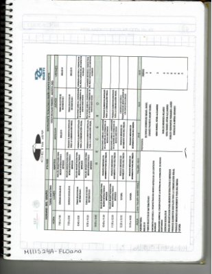 MIIIS24A-FLOana-BF