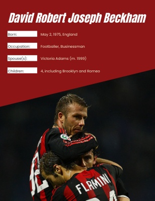 David Beckham Biography