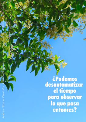 podemosdesautomatizar