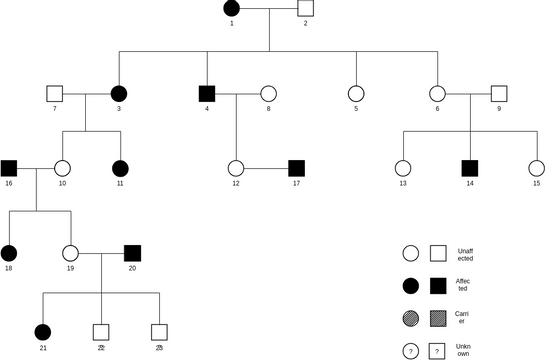 Pedigree Chart Sample 