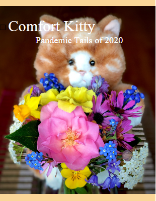 Comfort Kitty - Covid Tales