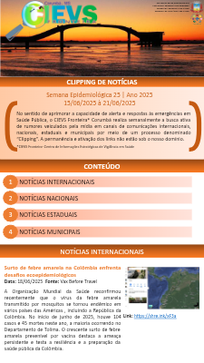CLIPPING SE 25.2025