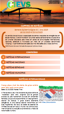 CLIPPING SE 43.2025.pptx