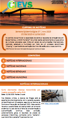 CLIPPING SE 37.2025