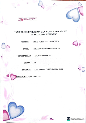 NEXI NOEMI TINEO CHAQUILA