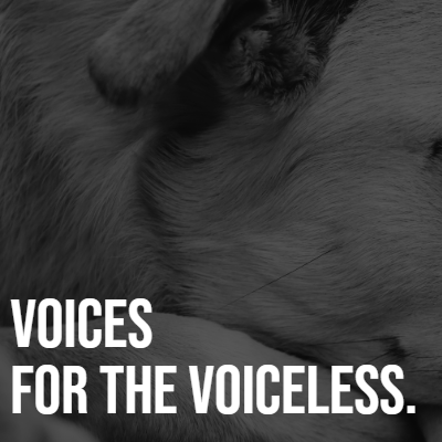 M4-RefinedSpreads-V3