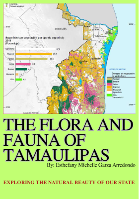 Red Ivory Duotone Women's rights Social Issues Zine_compressed