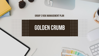 RISK MANAGEMENT PLAN