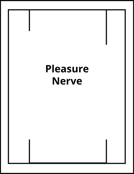 Pleasure Nerve Reviews And Complaints