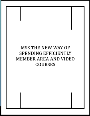 MSS The New Way Of Spending Efficiently