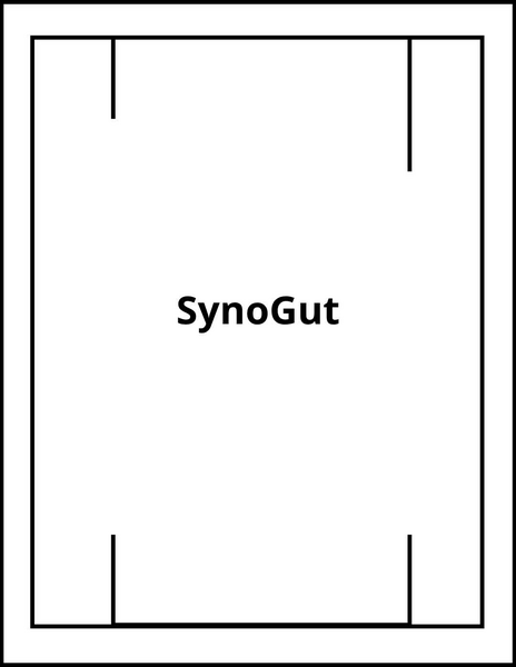 SynoGut Amazon - SynoGut Reviews Amazon