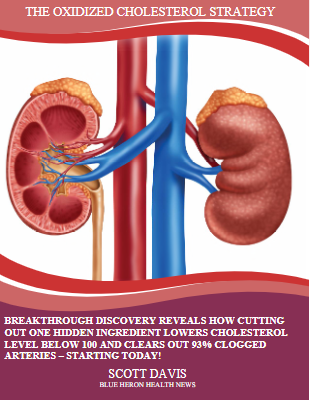 The Oxidized Cholesterol Strategy PDF