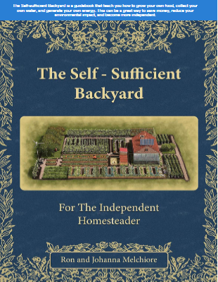 The Self-sufficient Backyard PDF