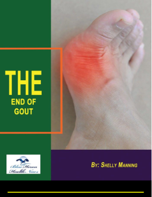 The End Of Gout Shelly Manning PDF