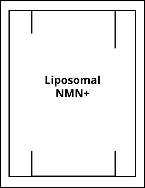 Liposomal NMN+ The Path To Enhanced Wellness