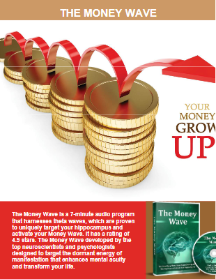 The Money Wave PDF