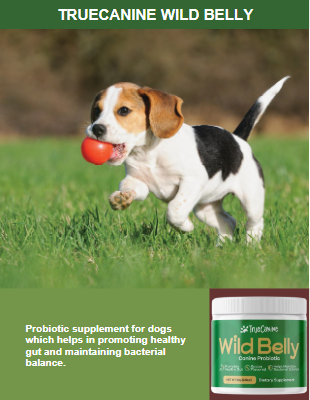 TureCanine Wild Belly Work Reviews - Where To Buy TureCanine Wild Belly Work