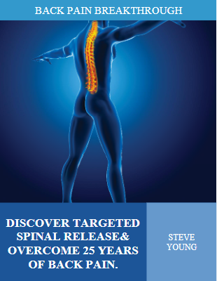 Dr Steve Back Pain Breakthrough PDF