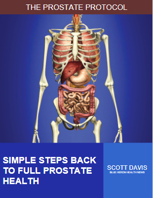 The Prostate Protocol PDF: Scott Davis