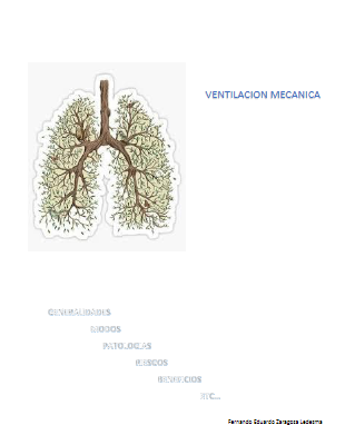 REVISTA VENTILACION MECANICA EDUARDO