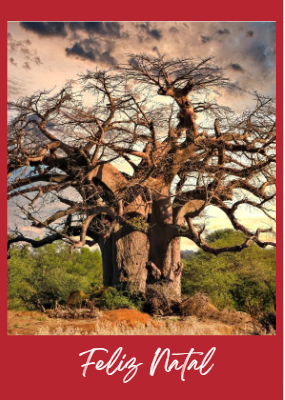 Boas Festas Constitucional