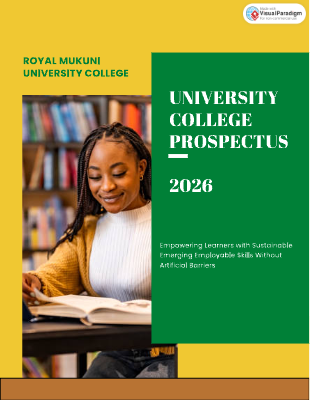 Create a College Prospectus Flipbook with Visual Paradigm Online
