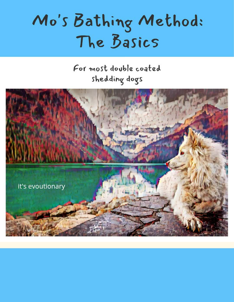 2Mo 39 s Bathing Method The Basics - Thumbnail