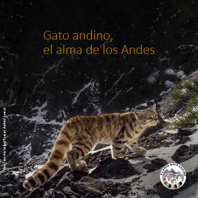 Catálogo AGA Cc 2025 original_español